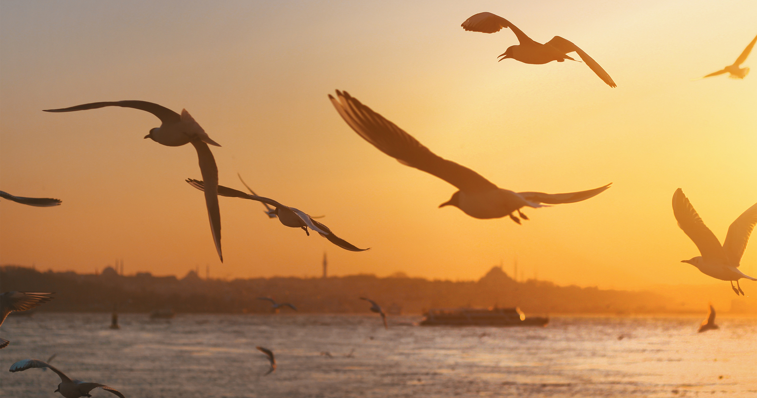 シャンパンで乾杯するイメージ